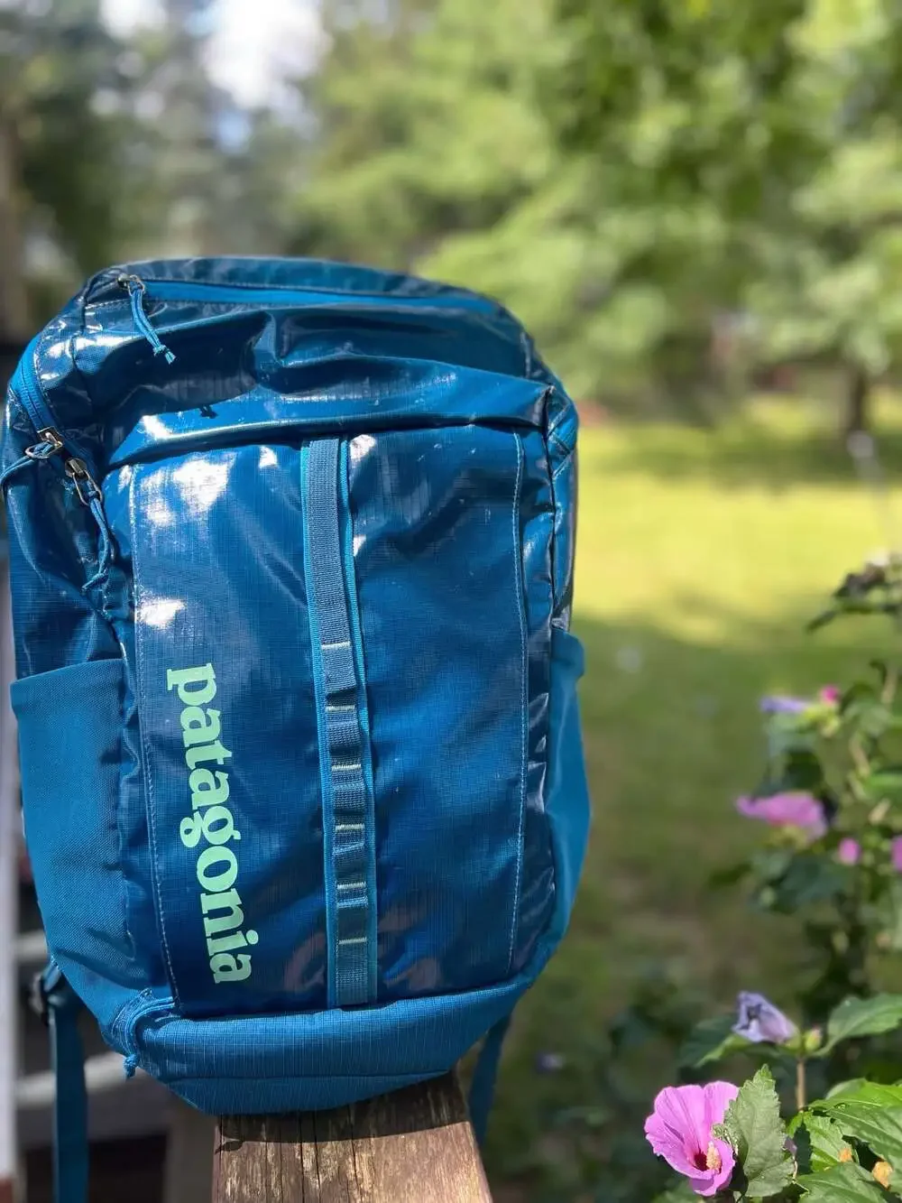 Patagonia Black Hole Pack 25L Blue Backpack